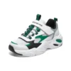 DLITES 1.0 « Blanc Vert »