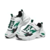 DLITES 1.0 « Blanc Vert »