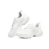 DLites 1.0 « White Silver »