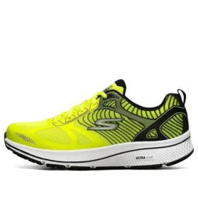 Go Run Consistent