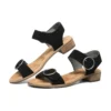 Petaluma « Brown Black »