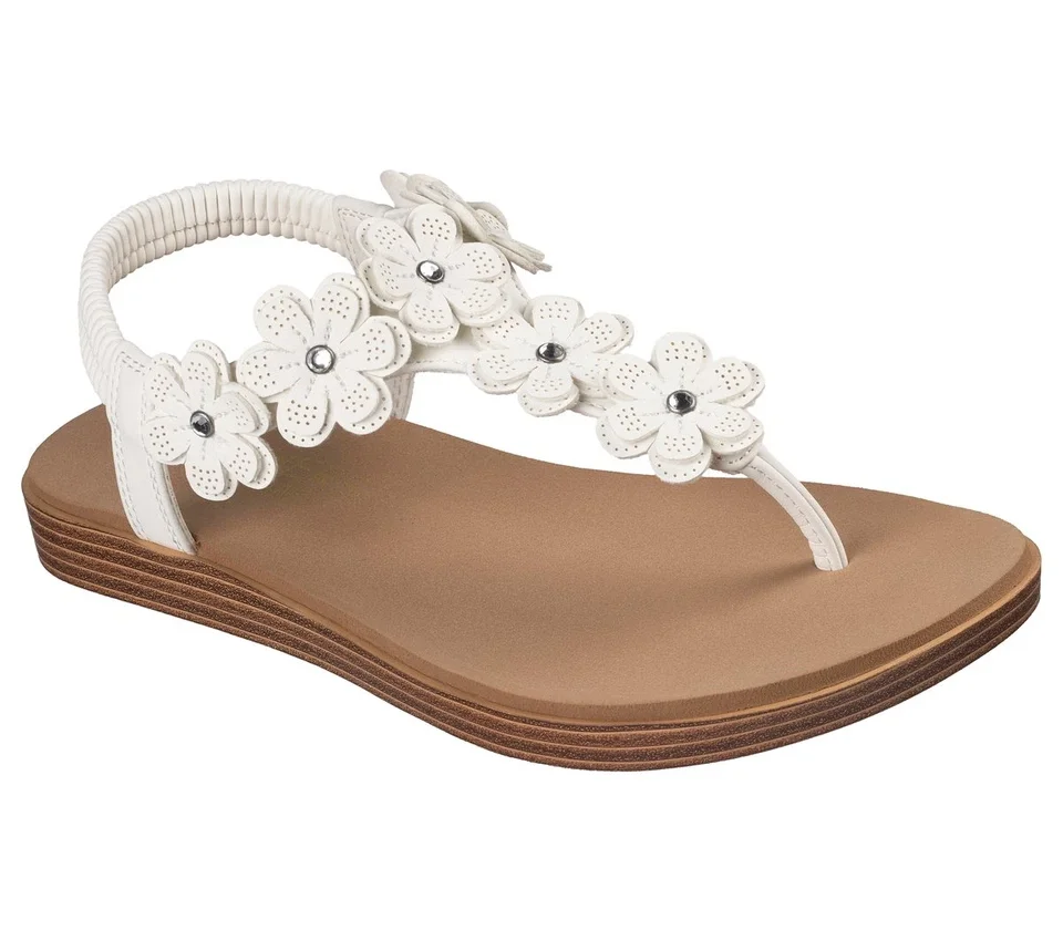 Summer Cove – Beach Bloom Summer Cove – Beach Bloom